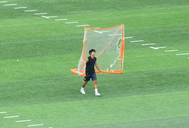 的不仅是绿